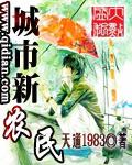 新型农民的标准四个标准